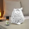 Brûle parfum hibou