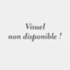 Broche papillon avec nacre abalone