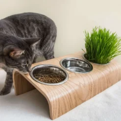Buvo, gamelle ergonomique chat en chêne