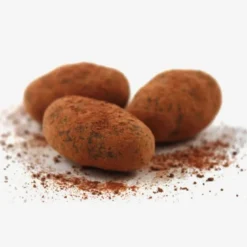Cacaotines chocolat BIO