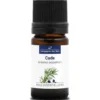 Cade (juniperus oxycedrus) - huile essentielle bio - 5ml garantie chromacert® -
