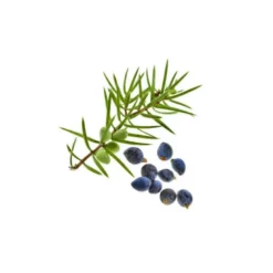Cade (juniperus oxycedrus) - huile essentielle bio - 5ml garantie chromacert® -