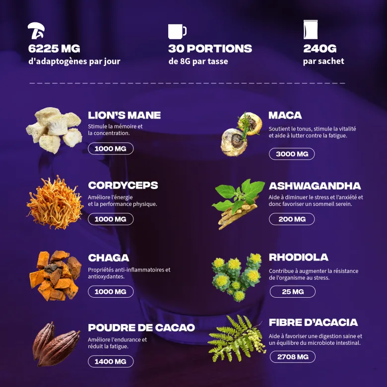 Café adaptogènes brainstoorm goût choco