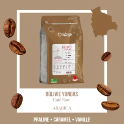 Café rare bio - bolivie yungas - grain 250g