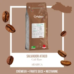 Café rare bio - salvador - grain 1kg