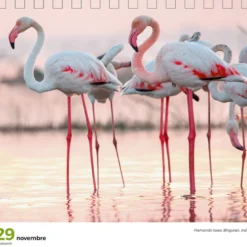 Calendrier 365 jours sublime nature