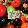 Calendrier à planter 2026 fruits et légumes