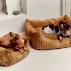 Cama, panier chien chat velours bronze s