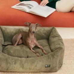 Cama, panier chien velours côtelé vert m