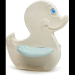 Canard bleu de dentition