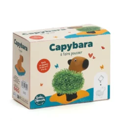 Capybara plante à faire pousser graines de chia Radis et Capucine