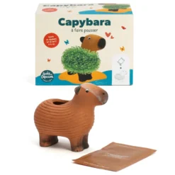 Capybara plante à faire pousser graines de chia Radis et Capucine