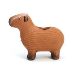 Capybara plante à faire pousser graines de chia Radis et Capucine
