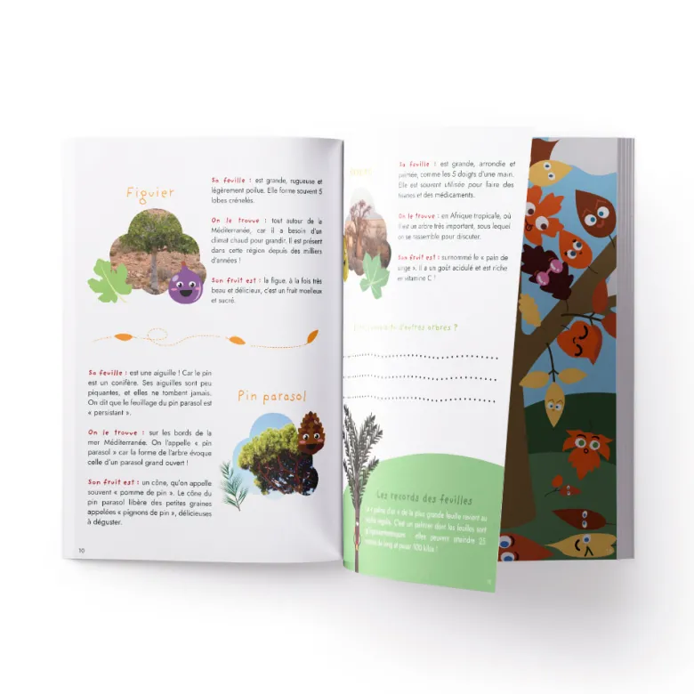 Carnet d'activité les feuilles d'arbres