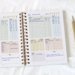 Carnet de suivi de bébé feuille (0-6 mois)