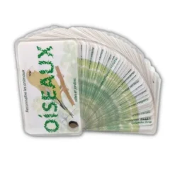 Carnet oiseaux des jardins et des villes