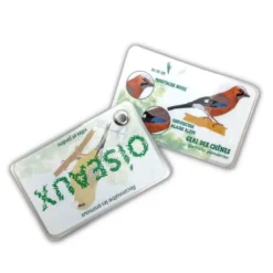 Carnet oiseaux des jardins et des villes