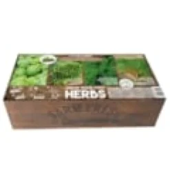 Carré de potager herbes de cuisine