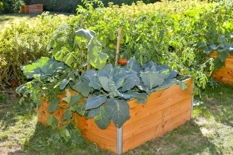 Carre potager steel l100 x l95 x h48cm ep19mm