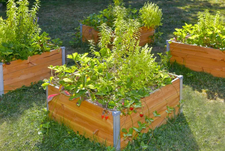 Carre potager steel l100 x l95 x h48cm ep19mm