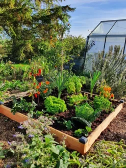 Carré potager bois douglas 126x126x14