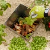 Carré potager bois l170 x l120 x h40
