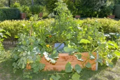 Carré potager bois l170 x l120 x h40
