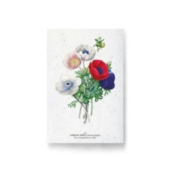 Carte à planter - anémones