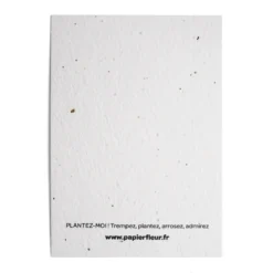 Carte à planter - bonne fête maman