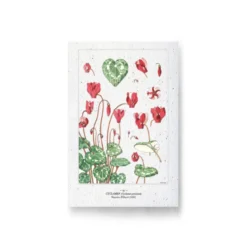 Carte à planter - cyclamen