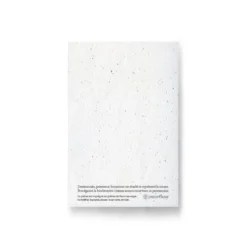 Carte à planter - feuilles d'olivier