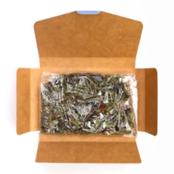 Carte postale infusion glacée Fantaisie