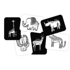 Cartes imagier animaux - safari