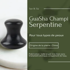 Champi guasha en serpentine noire