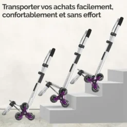 Chariot de courses pliable en aluminium