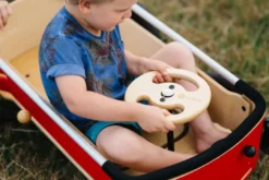 Chariot wishbone wagon 3 en 1