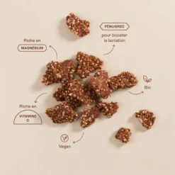 Choco nut - granola allaitement