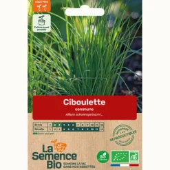 Ciboulette commune bio