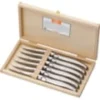 Coffret de 6 couteaux jean dubost laguiole premium 2,5 mm inox
