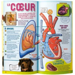 Coffret explore le corps humain