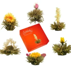 Coffret 6 fleurs de thé blanc