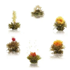 Coffret 6 fleurs de thé blanc