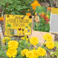 Coffret : je fais pousser mes 12 fleurs à papillons