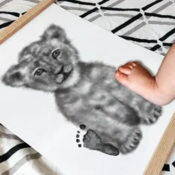 Coffret kit empreintes affiche lionceau
