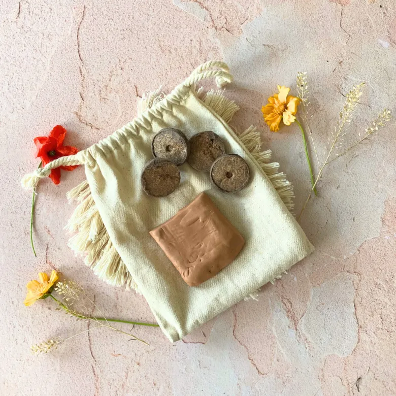 Coffret les bombes à graines de fleurs