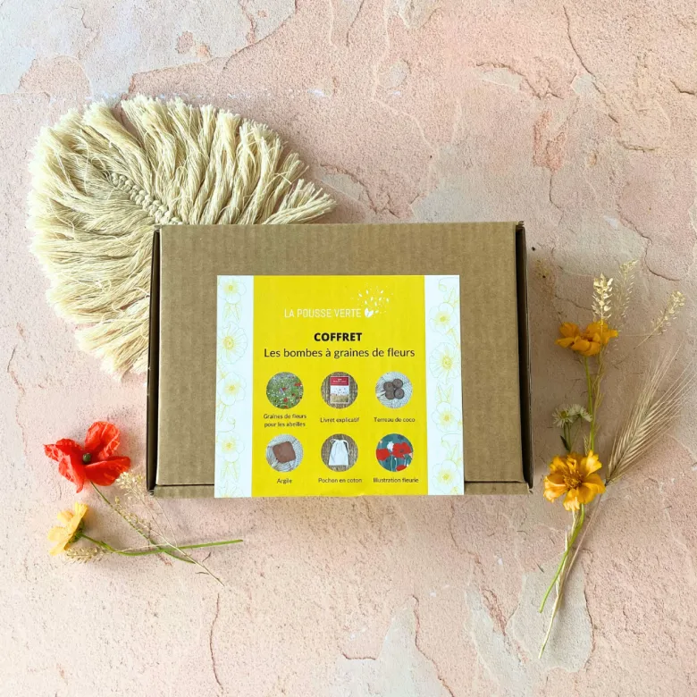 Coffret les bombes à graines de fleurs