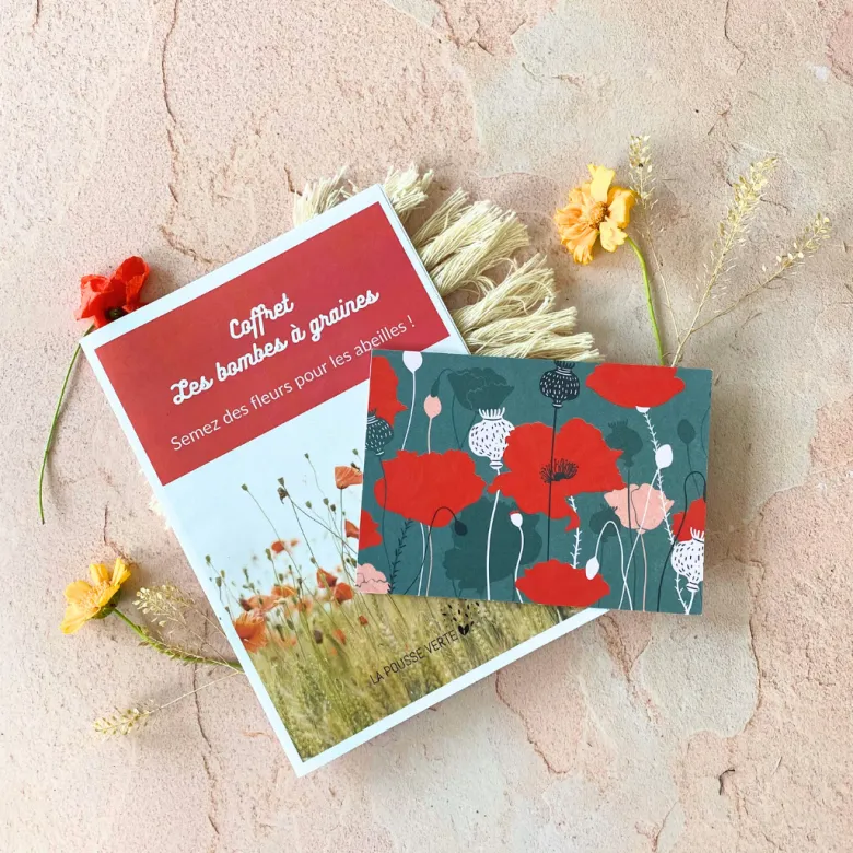 Coffret les bombes à graines de fleurs
