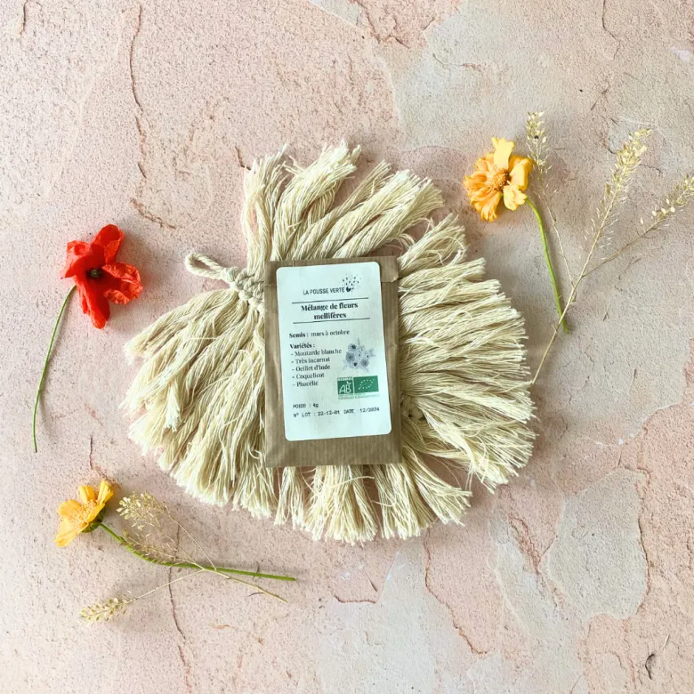 Coffret les bombes à graines de fleurs