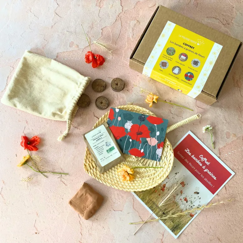 Coffret les bombes à graines de fleurs
