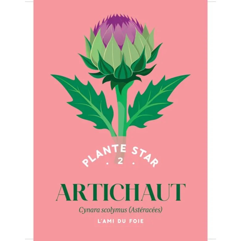 Coffret Mes cartes herboristerie